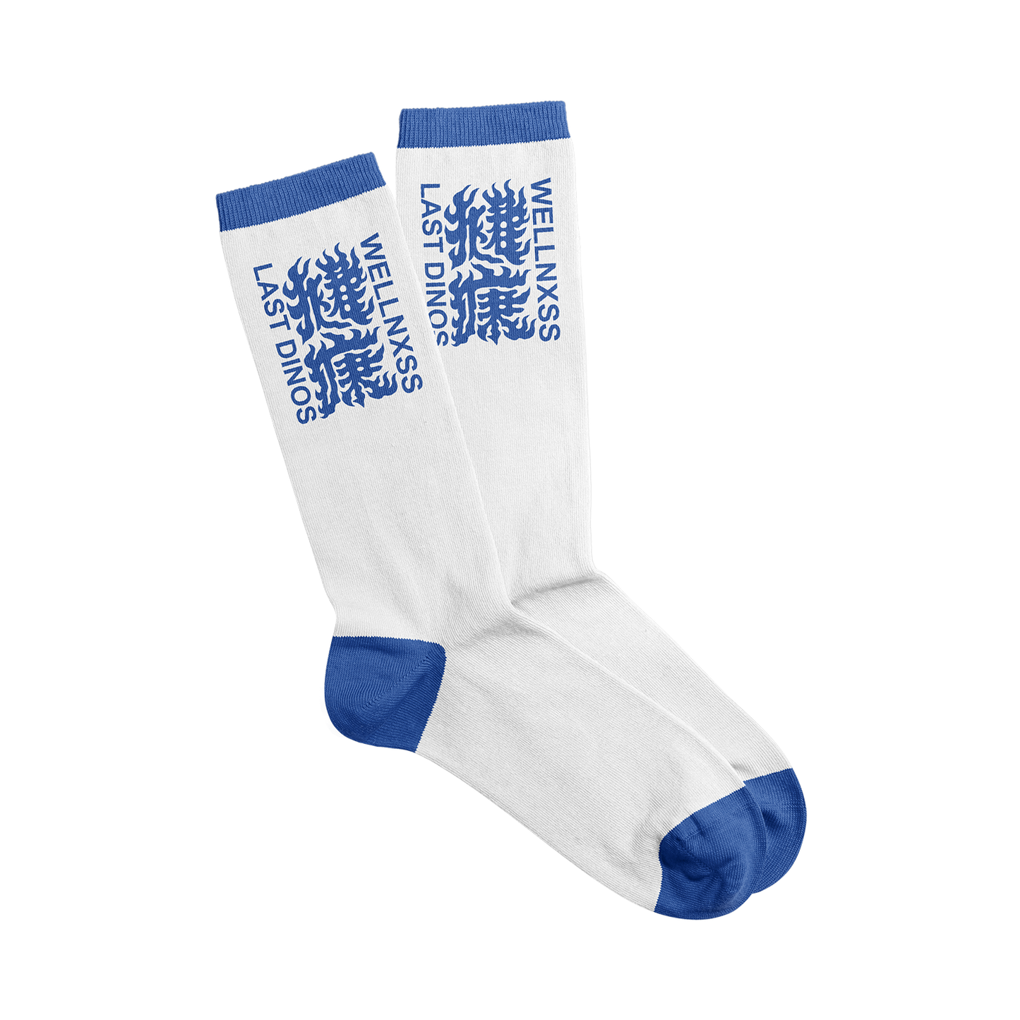 Wellnxss Knit Socks (Blue/White)