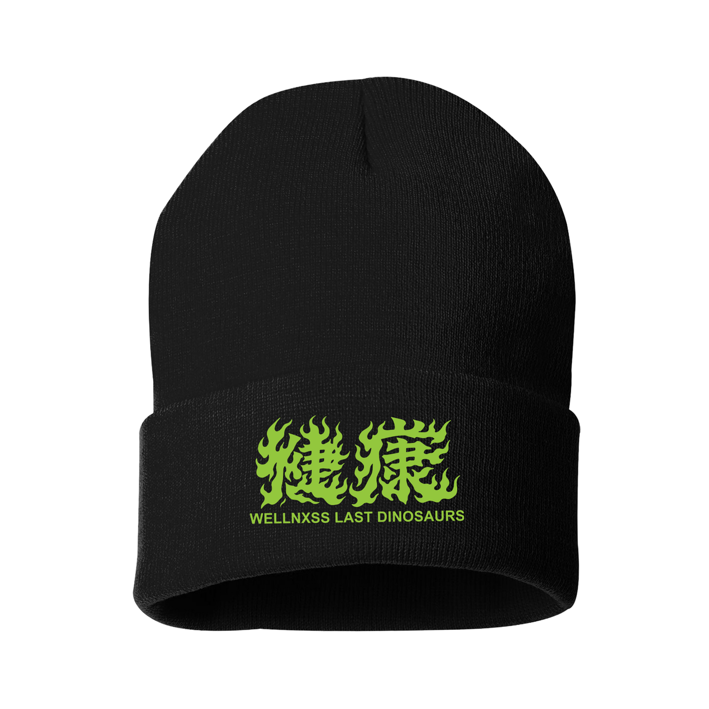 Wellnxss Beanie