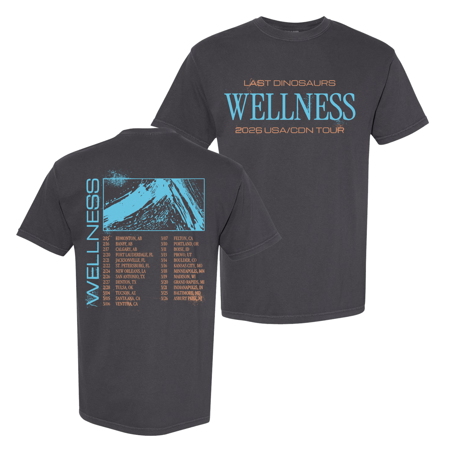 Wellnxss Tour Tee (Graphite)
